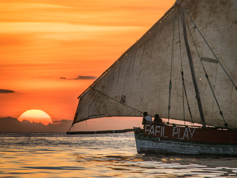 Island Tours
