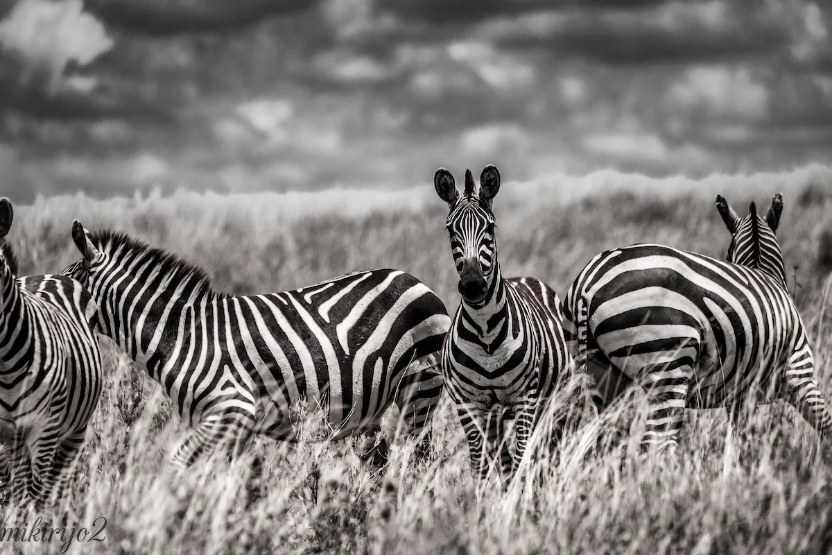 Serengeti National Park