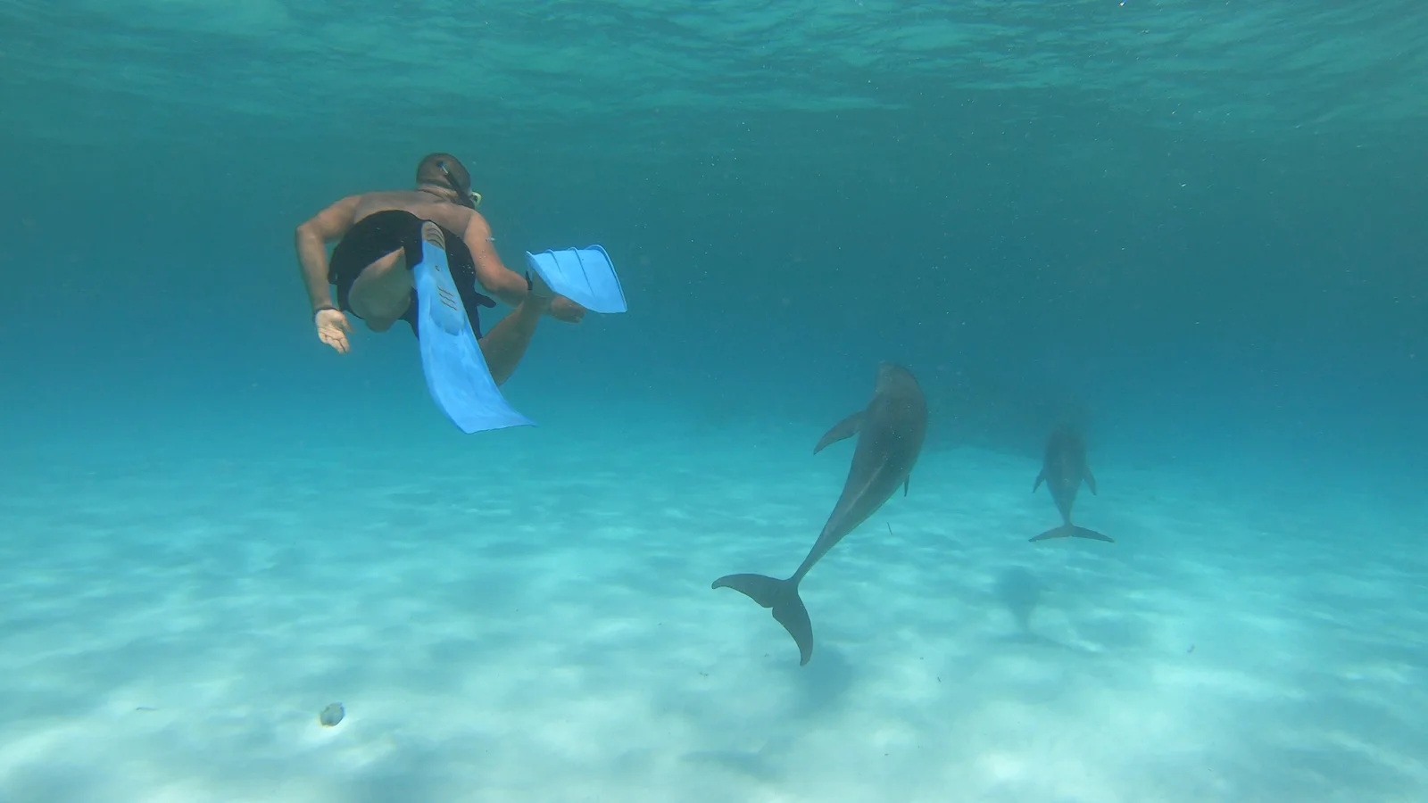 Mnemba Island Tour
